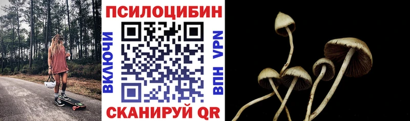 Галлюциногенные грибы прущие грибы  Купить где  Невель 
